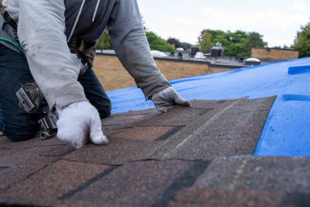 Best Roof Insulation Installation  in Lompoc, CA